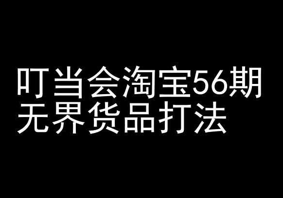 叮当会淘宝56期：无界货品打法-淘宝开店教程-康仁安资源