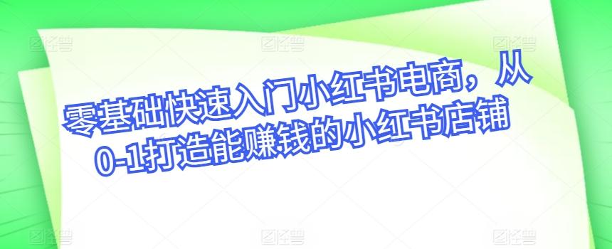 零基础快速入门小红书电商，从0-1打造能赚钱的小红书店铺-康仁安资源