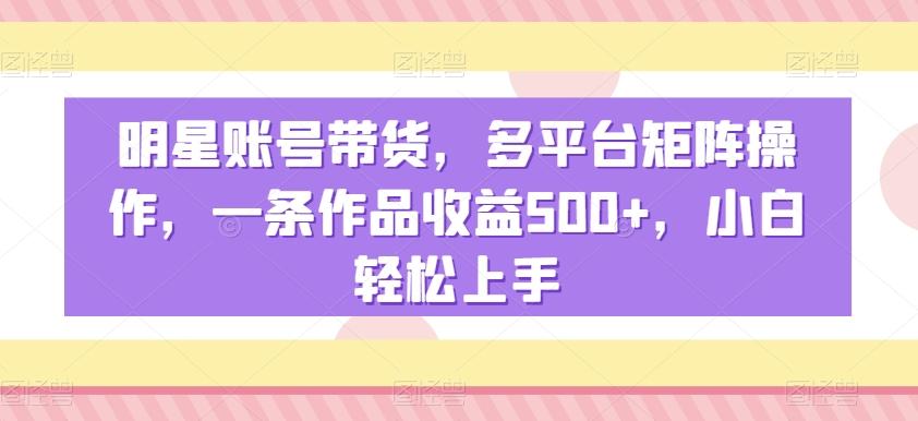 明星账号带货，多平台矩阵操作，一条作品收益500+，小白轻松上手【揭秘】-康仁安资源