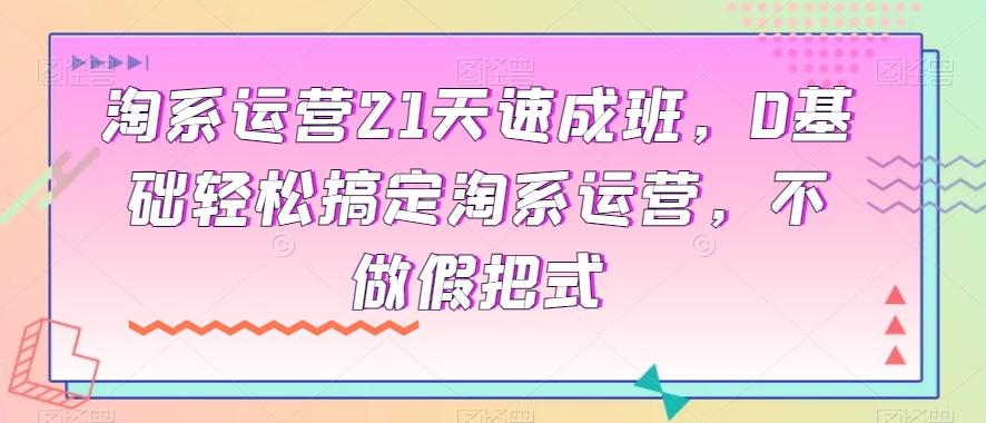 淘系运营21天速成班，0基础轻松搞定淘系运营，不做假把式-康仁安资源