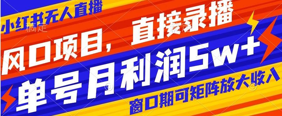 风口项目，小红书无人直播带货，直接录播，可矩阵，月入5w+【揭秘】-康仁安资源