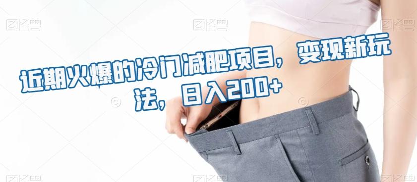 近期火爆的冷门减肥项目，变现新玩法，日入200+-康仁安资源