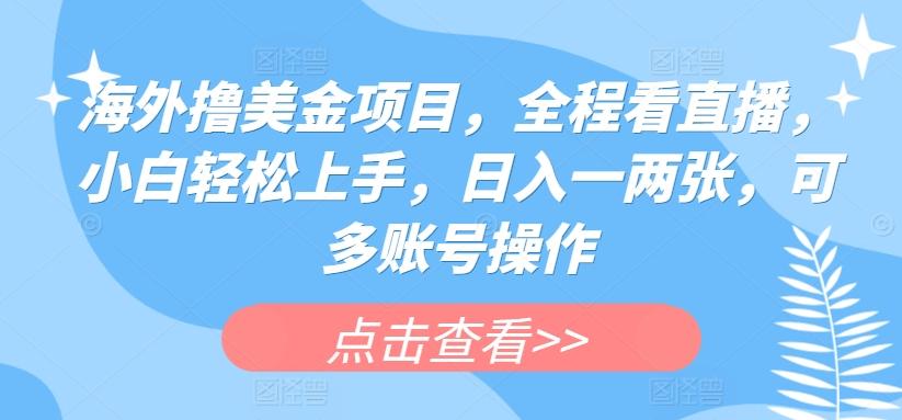 海外撸美金项目，全程看直播，小白轻松上手，日入一两张，可多账号操作【揭秘】-康仁安资源