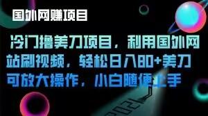冷门撸美刀项目，利用国外网站刷视频，轻松日入80+美刀，可放大操作，小白随便上手-康仁安资源