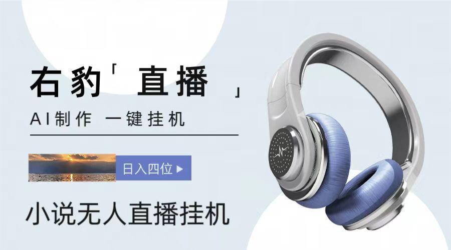 右豹小说无人直播挂机吸金项目，简单易行收益稳定， 月入1000+-康仁安资源