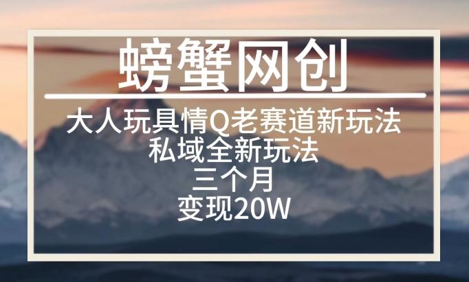 大人玩具情Q用品赛道私域全新玩法，三个月变现20W，老项目新思路【揭秘】-康仁安资源