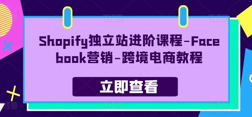 Shopify独立站进阶课程-Facebook营销-跨境电商教程-康仁安资源