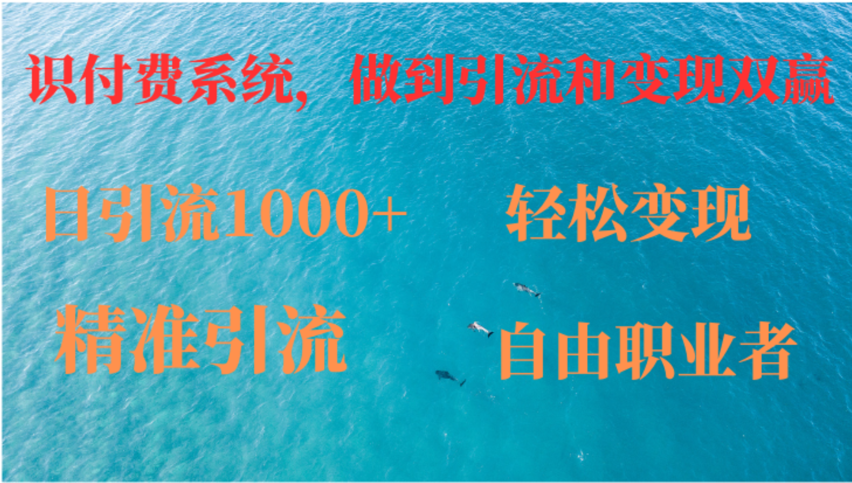 如何搭建自己的知识付费系统，做到引流和变现双赢-康仁安资源