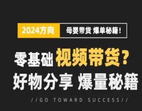 短视频母婴赛道实操流量训练营，零基础视频带货，好物分享，爆量秘籍-康仁安资源