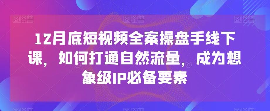 12月底短视频全案操盘手线下课，如何打通自然流量，成为想象级IP必备要素-康仁安资源