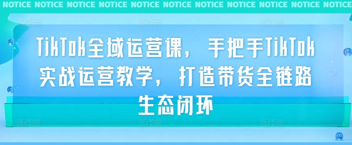 TikTok全域运营课，手把手TikTok实战运营教学，打造带货全链路生态闭环-康仁安资源