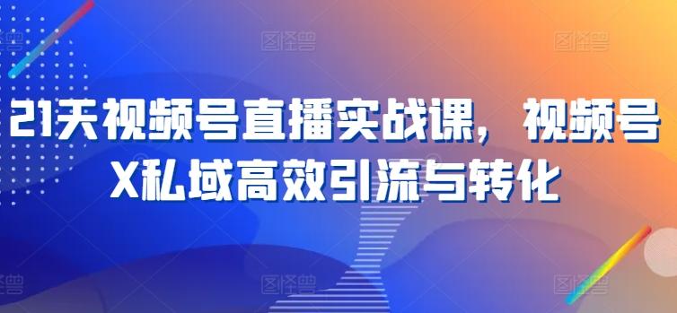 21天视频号直播实战课，视频号X私域高效引流与转化-康仁安资源
