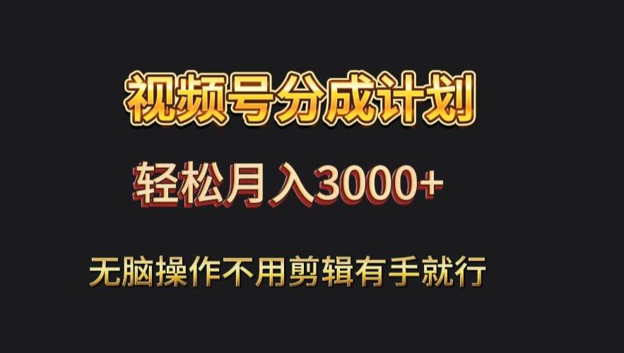 视频号流量分成，不用剪辑，有手就行，轻松月入2000+-康仁安资源