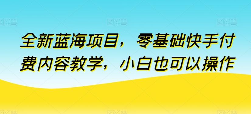 全新蓝海项目，零基础快手付费内容教学，小白也可以操作【揭秘】-康仁安资源