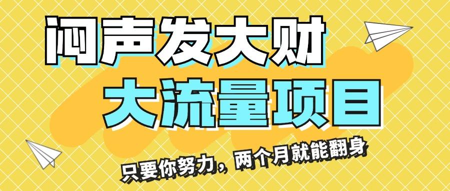 闷声发大财，大流量项目，月收益过3万，只要你努力，两个月就能翻身-康仁安资源