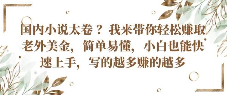 国内小说太卷 ?带你轻松赚取老外美金，简单易懂，小白也能快速上手，写的越多赚的越多【揭秘】-康仁安资源