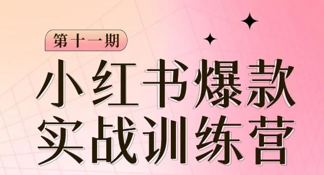小红书博主爆款训练营第11期，手把手教你从0-1做小红书，从定位到起号到变现-康仁安资源
