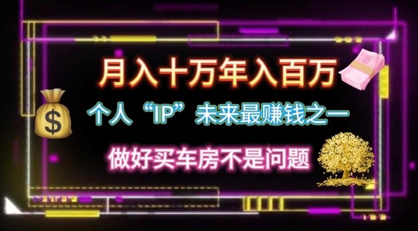 个人“ip”月入10w，年入100w-康仁安资源
