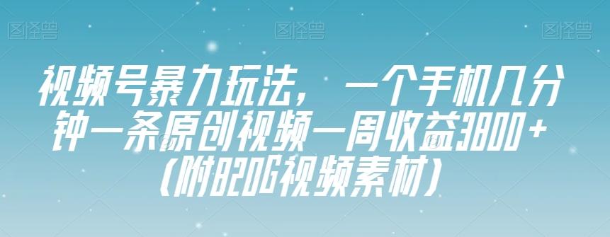 视频号暴力玩法，一个手机几分钟一条原创视频一周收益3800+（附820G视频素材）-康仁安资源