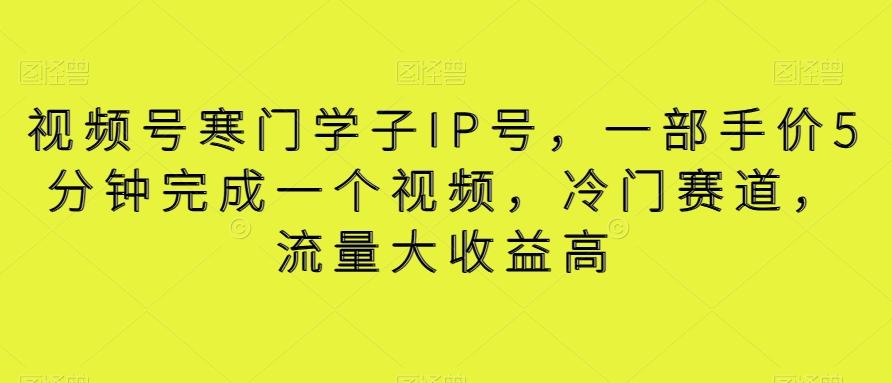 视频号寒门学子IP号，一部手价5分钟完成一个视频，冷门赛道，流量大收益高【揭秘】-康仁安资源