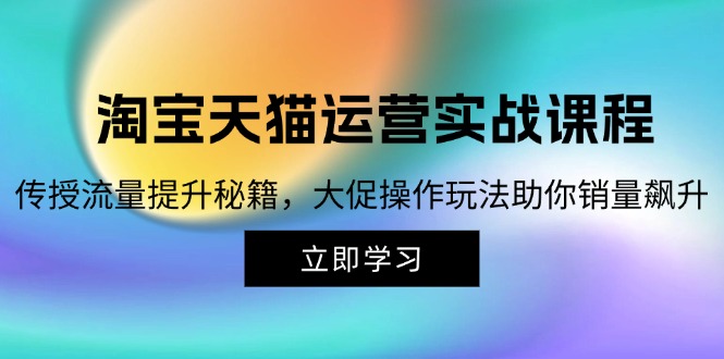 淘宝&天猫运营实战课程，传授流量提升秘籍，大促操作玩法助你销量飙升-康仁安资源
