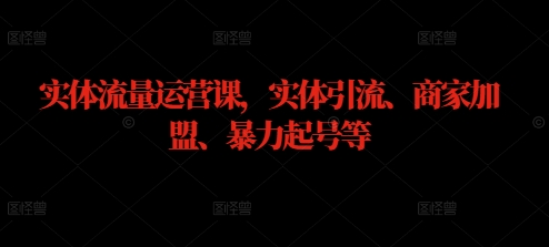 实体流量运营课，实体引流、商家加盟、暴力起号等-康仁安资源