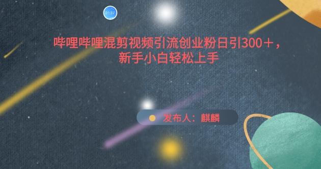 哔哩哔哩混剪视频引流创业粉日引300+，新手小白轻松上手【揭秘】-康仁安资源