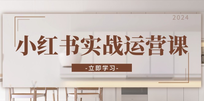 小红书实战运营课：从开通店铺到直播话术，打造爆款笔记与高效直播-康仁安资源