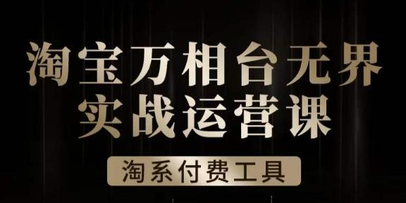 沧海·淘系万相台无界实战运营课，万相台无界实操全案例解析-康仁安资源
