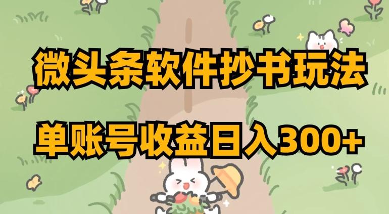 微头条软件抄书玩法，单账号收益日入300+【揭秘】-康仁安资源