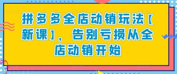 拼多多全店动销玩法【新课】，告别亏损从全店动销开始-康仁安资源