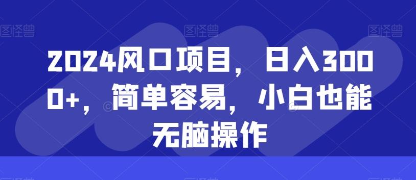 2024风口项目，日入3000+，简单容易，小白也能无脑操作-康仁安资源