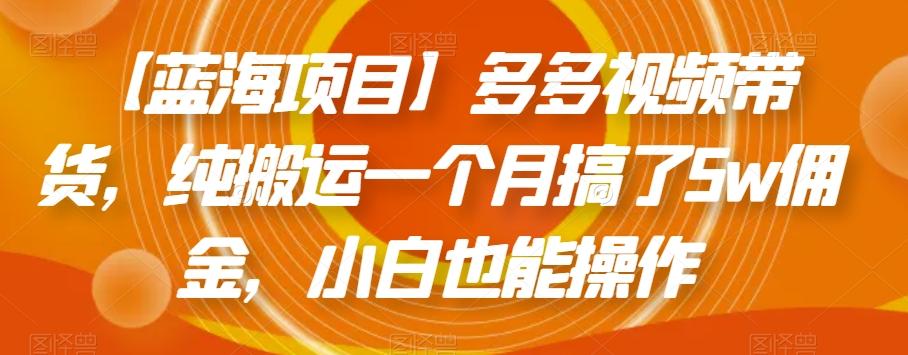 【蓝海项目】多多视频带货，纯搬运一个月搞了5w佣金，小白也能操作【揭秘】-康仁安资源