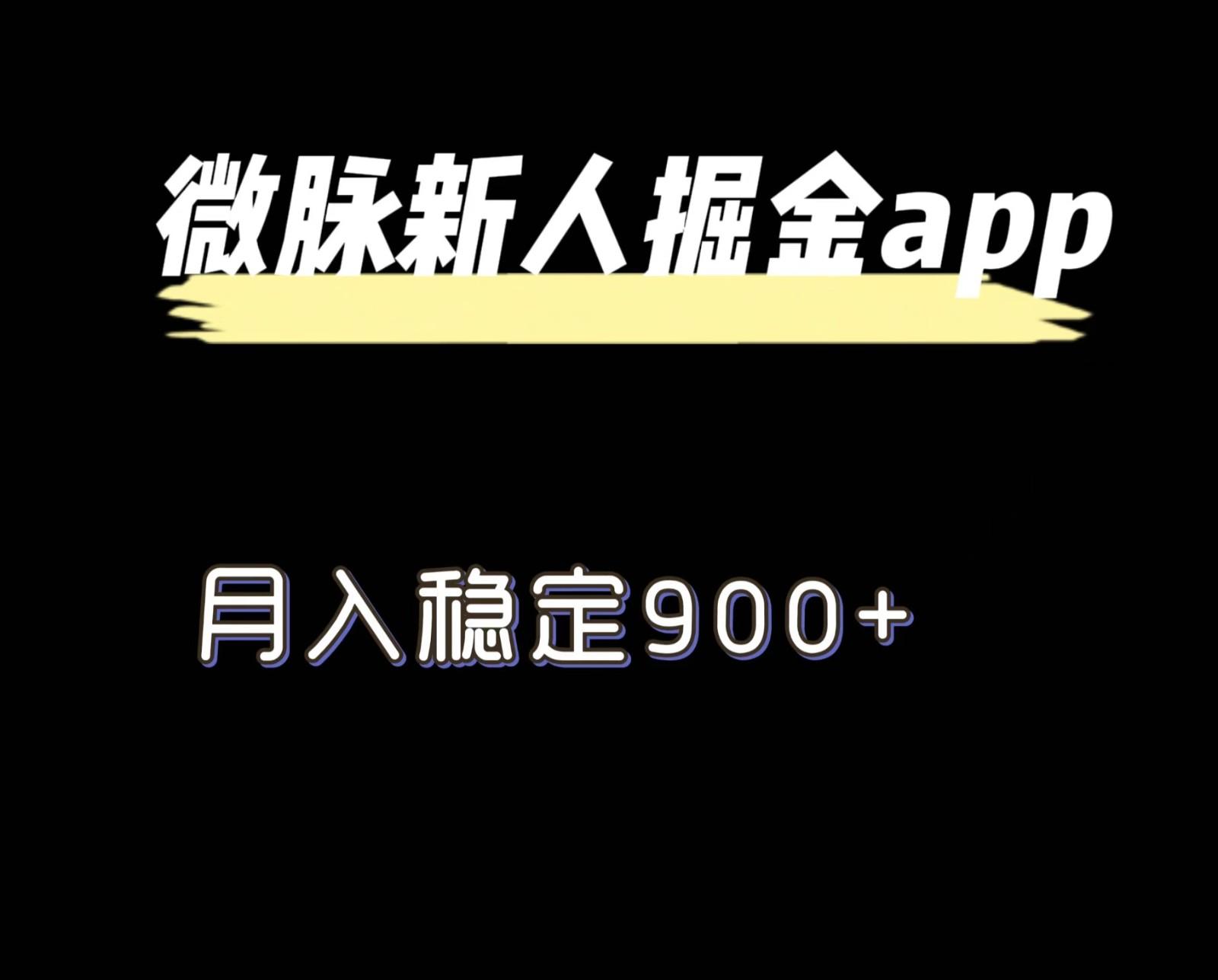 最新微脉长久项目，拉新掘金，月入稳定900+-康仁安资源