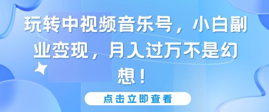玩转中视频音乐号，小白副业变现，月入过万不是幻想【揭秘】-康仁安资源