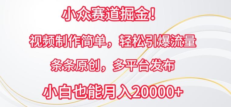小众赛道掘金，视频制作简单，轻松引爆流量，条条原创，多平台发布【揭秘】-康仁安资源
