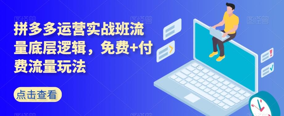 拼多多运营实战班流量底层逻辑，免费+付费流量玩法-康仁安资源