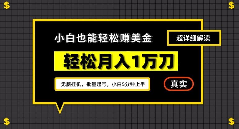 谷歌看广告撸美金2.0，无脑挂机，多号操作，月入1万刀【揭秘】-康仁安资源