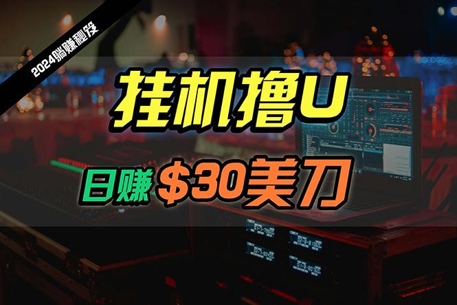 (10013期)日赚30美刀，2024最新海外挂机撸U内部项目，全程无人值守，可批量放大-康仁安资源
