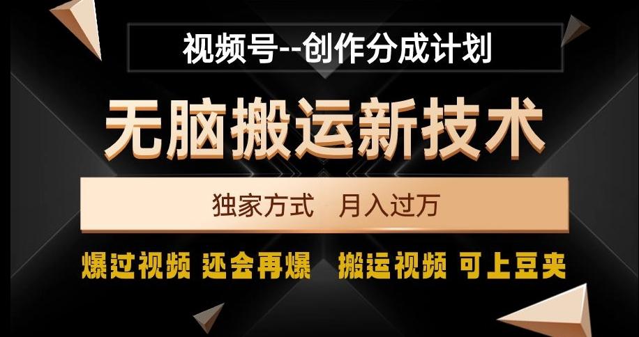 视频号无脑搬运新技术，破原创壕流量，独家方式，爆过视频，还会再爆【揭秘】-康仁安资源