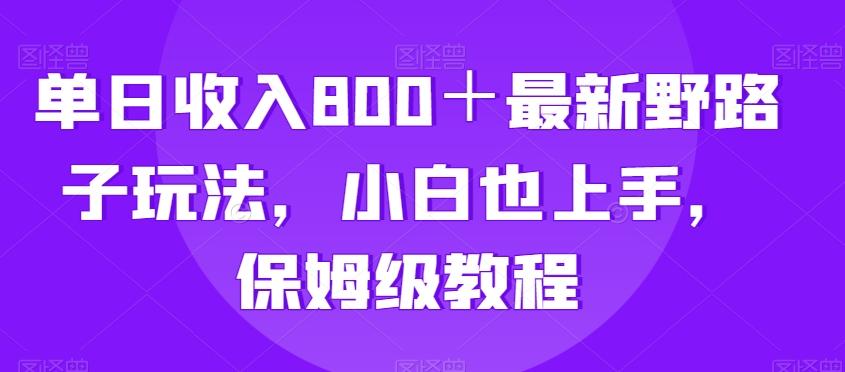 单日收入800＋最新野路子玩法，小白也上手，保姆级教程-康仁安资源