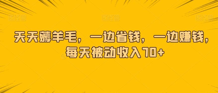 天天薅羊毛，一边省钱，一边赚钱，每天被动收入70+-康仁安资源