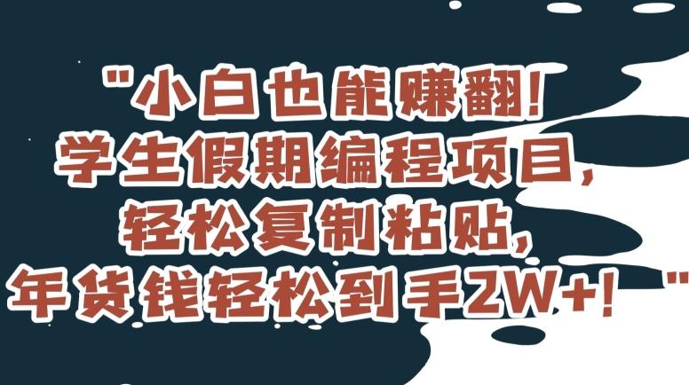 小白也能赚翻！学生假期编程项目，轻松复制粘贴，年货钱轻松到手2W+【揭秘】-康仁安资源