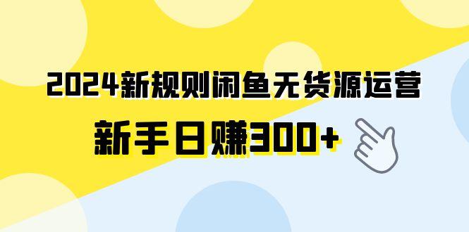 (9522期)2024新规则闲鱼无货源运营新手日赚300+-康仁安资源