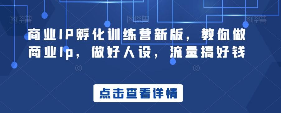 商业IP孵化训练营新版，教你做商业Ip，做好人设，流量搞好钱-康仁安资源