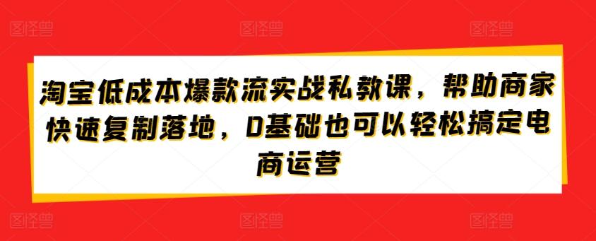 淘宝低成本爆款流实战私教课，帮助商家快速复制落地，0基础也可以轻松搞定电商运营-康仁安资源
