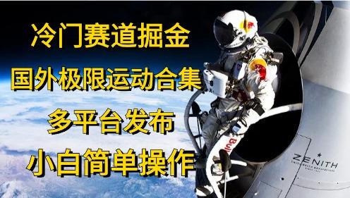 冷门赛道掘金，国外极限运动视频合集，多平台发布，小白简单操作-康仁安资源