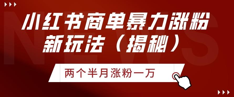 小红书商单暴力涨粉新玩法两个半月涨粉一万（揭秘）-康仁安资源