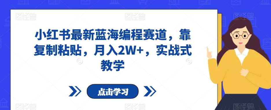 小红书最新蓝海编程赛道，靠复制粘贴，月入2W+，实战式教学【揭秘】-康仁安资源
