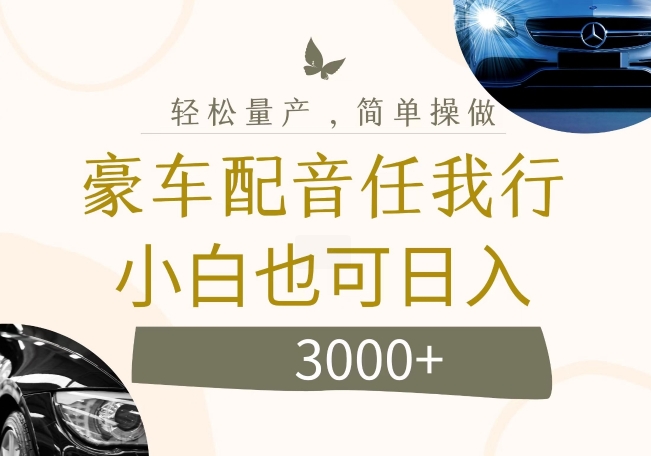 不为人知的暴力小项目，豪车配音，日入几张【揭秘】-康仁安资源
